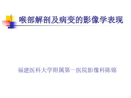 医学影像-喉部解剖及病变的影像学表现