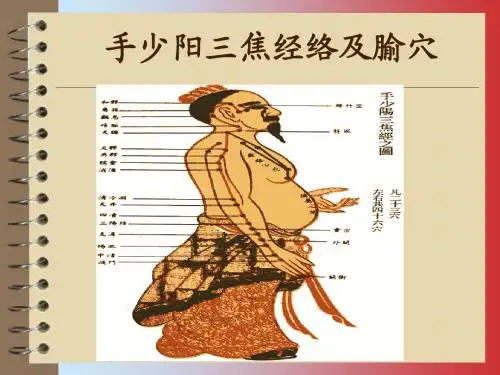 手少阳三焦经修正版