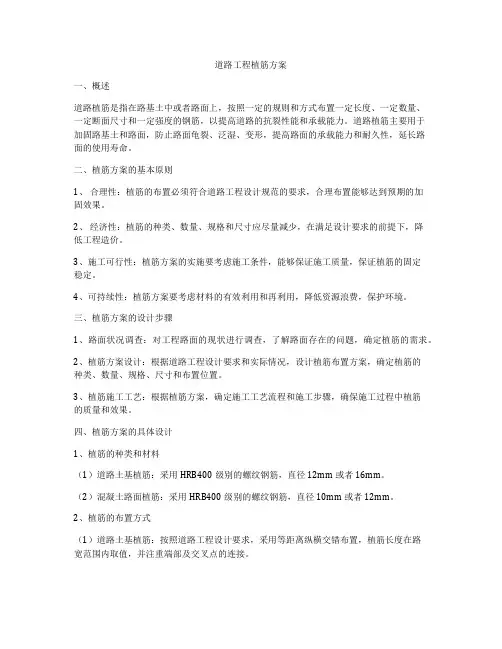 道路工程植筋方案