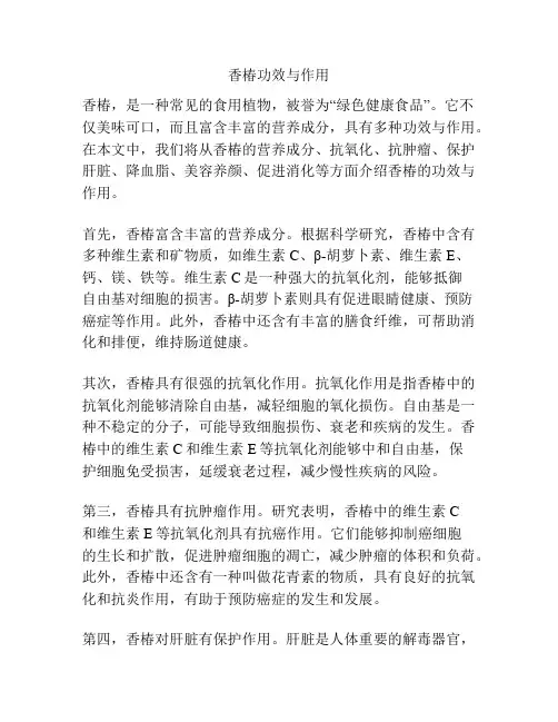香椿功效与作用