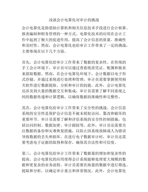 浅谈会计电算化对审计的挑战