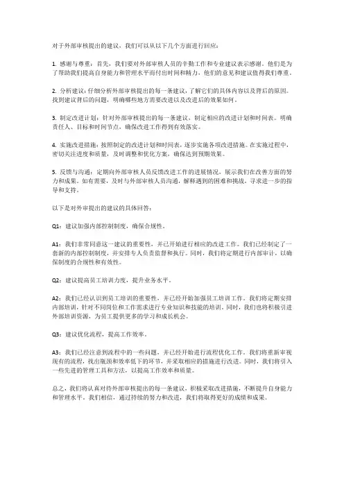 对外审提出的建议