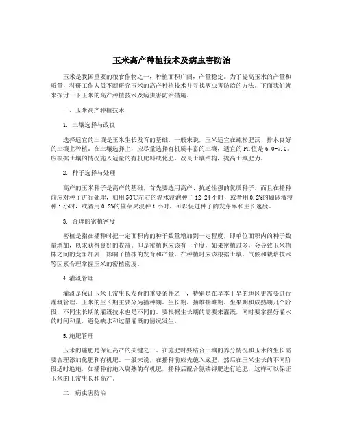 玉米高产种植技术及病虫害防治