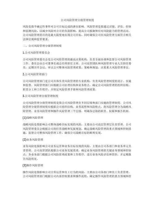 公司风险管理分级管理制度