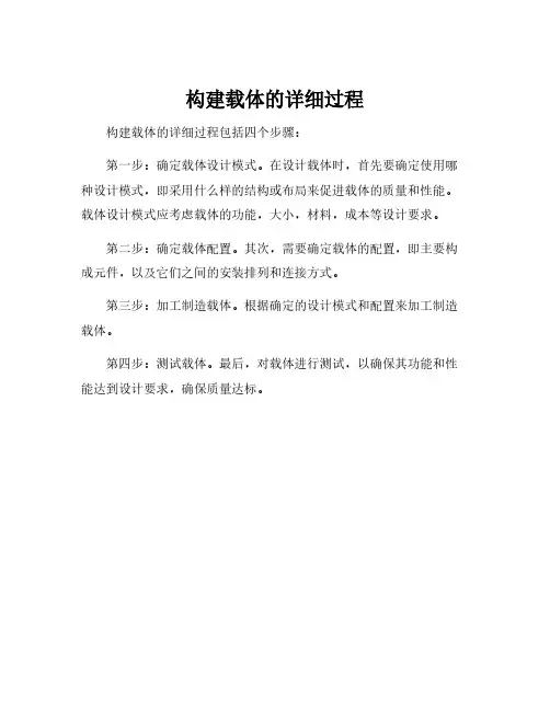构建载体的详细过程