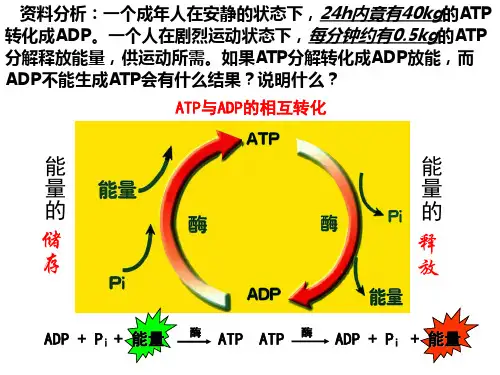 第五章第二、三节打印笔记和练习参考答案