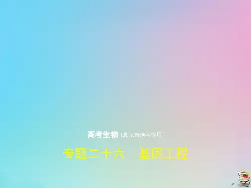 北京专用高考生物一轮复习专题26基因工程课件