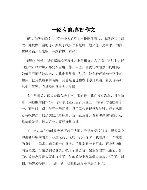 一路有您,真好作文