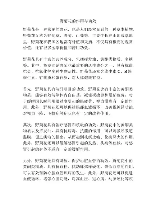 野菊花的作用与功效
