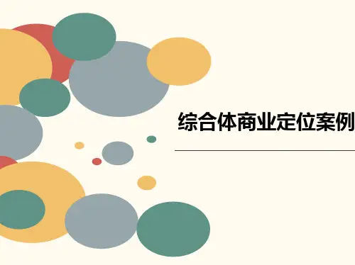 综合体商业定位案例