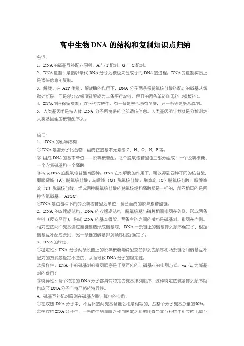 高中生物DNA的结构和复制知识点归纳