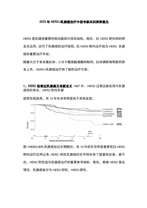 2023年HER2+ 乳腺癌治疗中国专家共识推荐意见