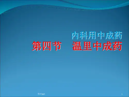 温里中成药