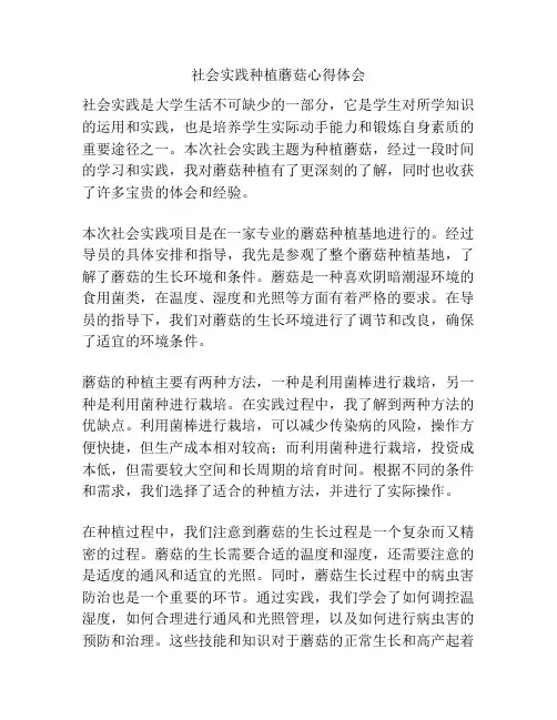 社会实践种植蘑菇心得体会