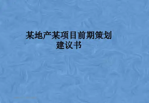 某地产某项目前期策划建议书