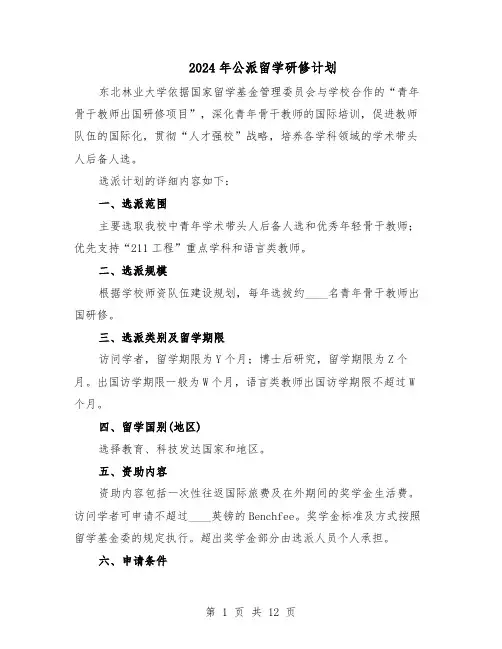 2024年公派留学研修计划（6篇）