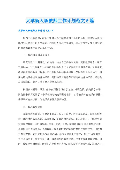 大学新入职教师工作计划范文5篇