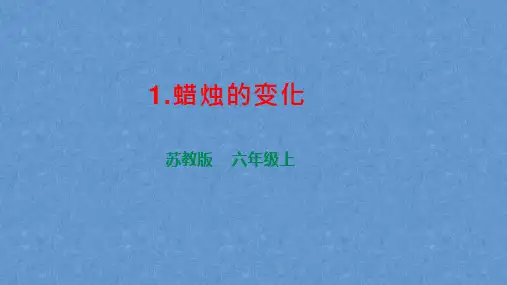 苏教版科学六上-蜡烛的变化课件