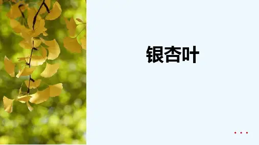 7-8岁《片片银杏叶》—美术课件