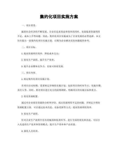 集约化项目实施方案