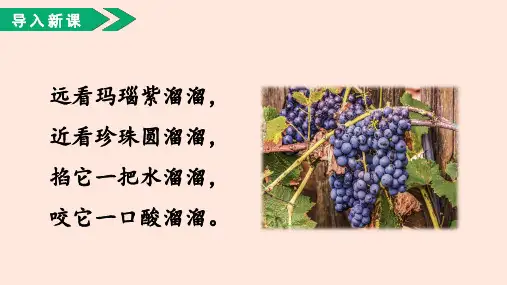 《葡萄沟》课件(共57张PPT)