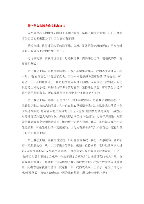 带上什么去远方作文记叙文