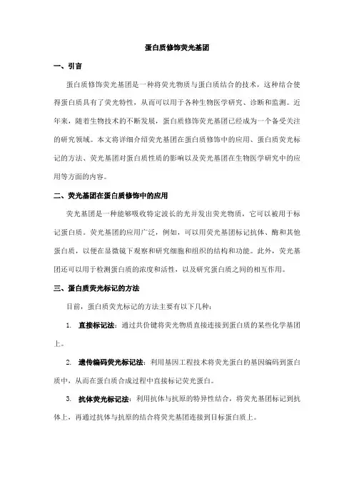 蛋白质修饰荧光基团