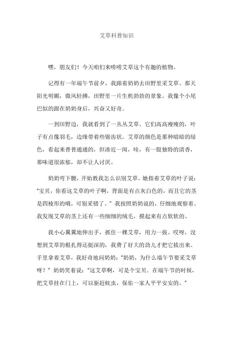 艾草科普知识