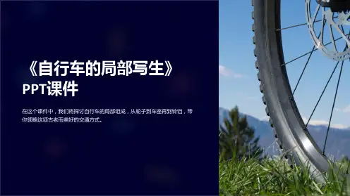 《自行车的局部写生》课件
