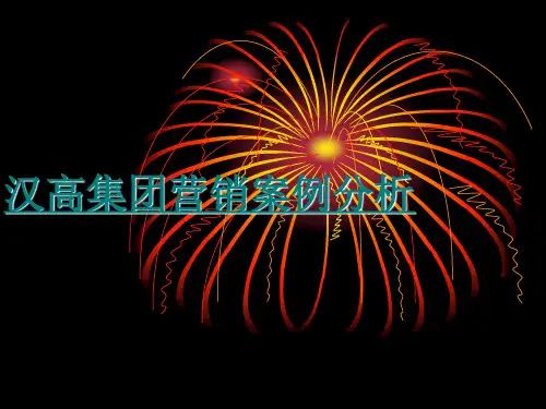 汉高集团营销案例分析