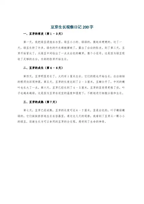 豆芽生长观察日记200字