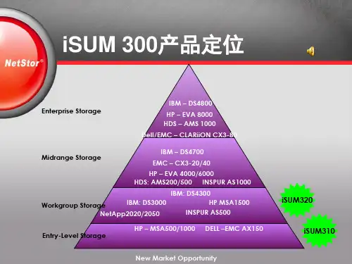 NetStor新产品简介