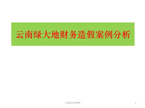 绿大地财务造假案例分析ppt课件