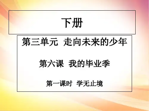 人教部编版九年级道德与法治下册课件：第六课第一课时
