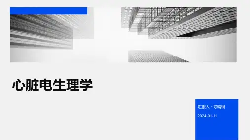 心脏电生理学