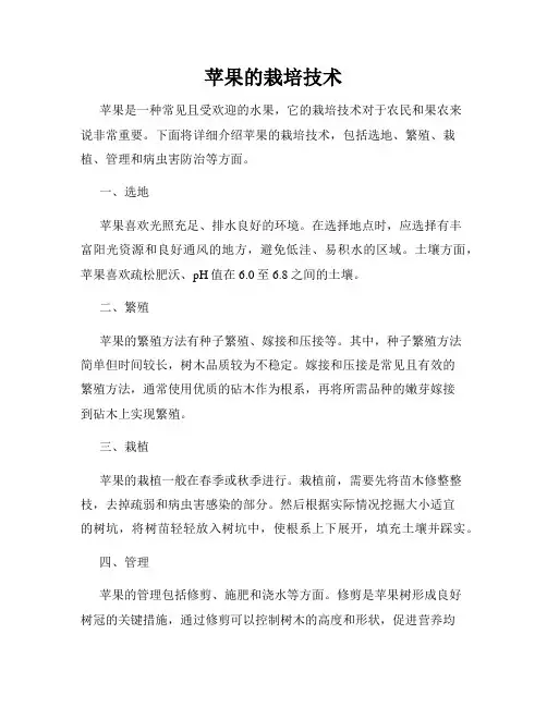 苹果的栽培技术