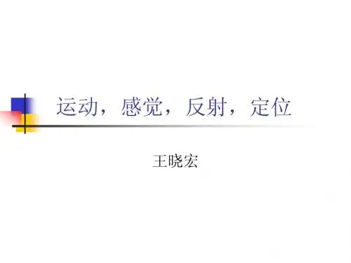 运动感觉反射定位