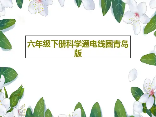 六年级下册科学通电线圈青岛版16页PPT