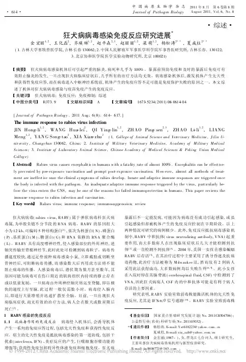 狂犬病病毒感染免疫反应研究进展1
