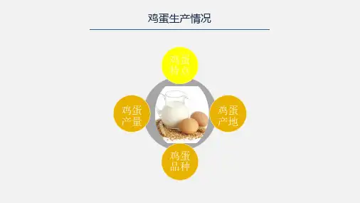 鸡蛋期货-2020鸡蛋期货