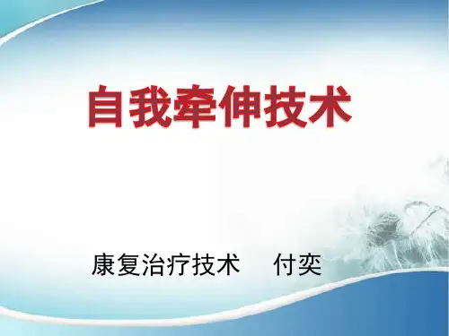 (完整版)牵伸技术