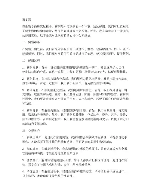 解剖肉鸽心得体会感悟(3篇)