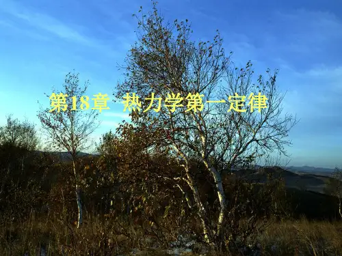 大学物理2热力学第一定律