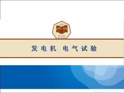 发电机电气试验.ppt