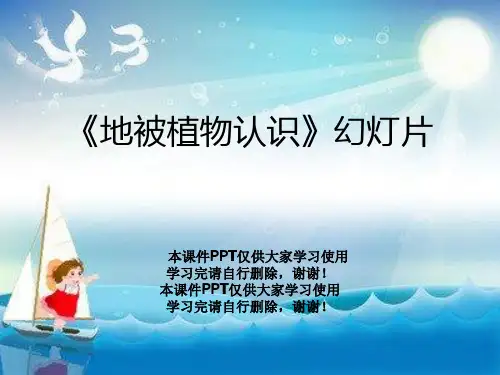 《地被植物认识》幻灯片