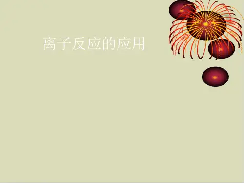 鲁科版离子反应实用课件2