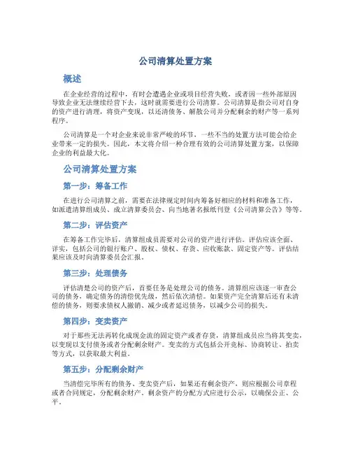 公司清算处置方案