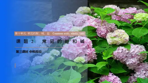 第十单元 课题2 常见的酸和碱 第3课时 九年级化学下册人教版2024