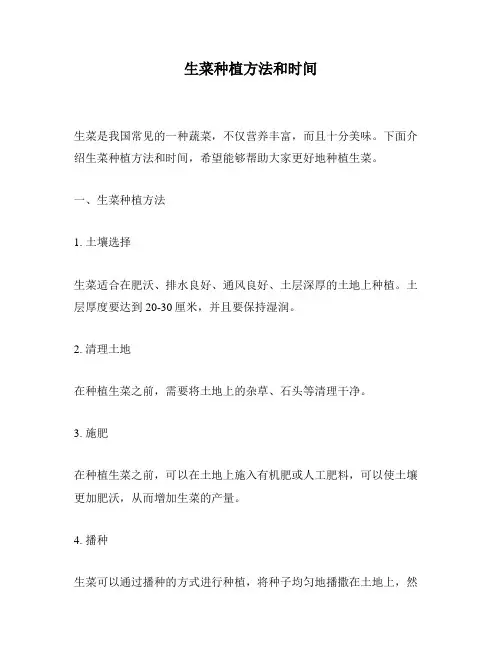 生菜种植方法和时间