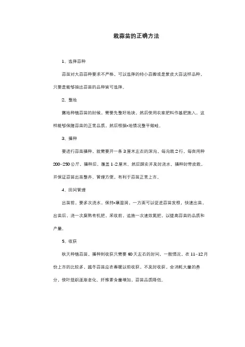 栽蒜苗的正确方法